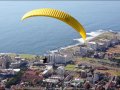 Shark & Paraglide SD